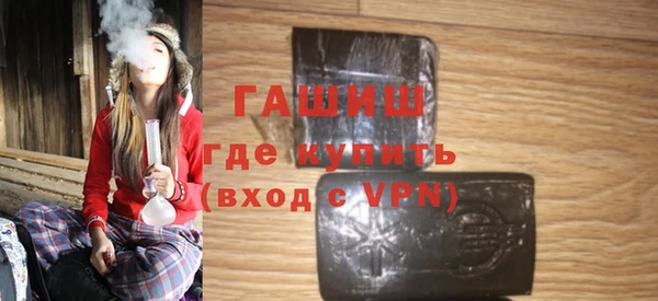 сатива Туринск