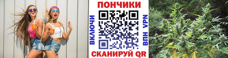 закладки  Омск  Шишки марихуана тримм 